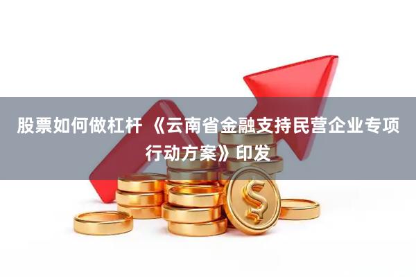 股票如何做杠杆 《云南省金融支持民营企业专项行动方案》印发