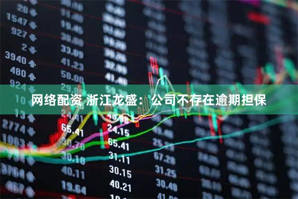 网络配资 浙江龙盛：公司不存在逾期担保