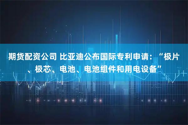 期货配资公司 比亚迪公布国际专利申请：“极片、极芯、电池、电池组件和用电设备”