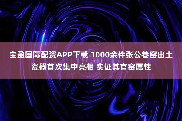 宝盈国际配资APP下载 1000余件张公巷窑出土瓷器首次集中亮相 实证其官窑属性